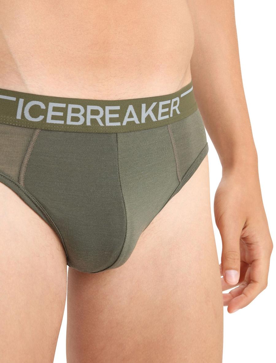 Loden Men's Icebreaker Merino Anatomica Briefs Underwear | USA 1297LISH